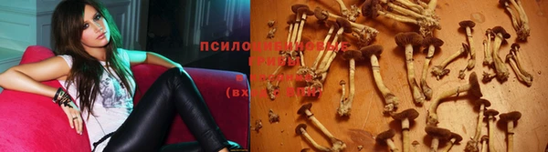 прущие крисы Зеленодольск