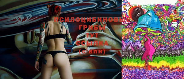 mix Зеленокумск