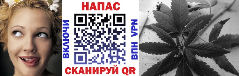 Шишки марихуана семена  Купить  Верея 